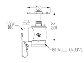 Fire Hydrant Landing Valve 80 Roll Groove x WA